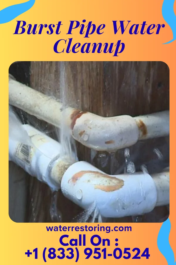 Burst Pipe Water Cleanup in Fair Lawn, NJ