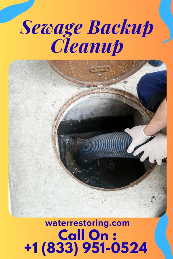 Sewage Backup Cleanup in Fair Lawn, NJ